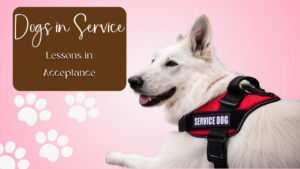 Read more about the article Dogs in Service Lessons in Acceptance