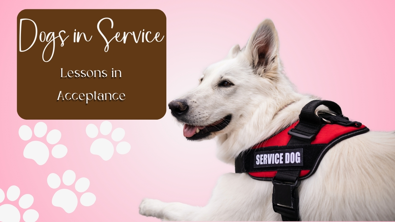 Dogs in Service