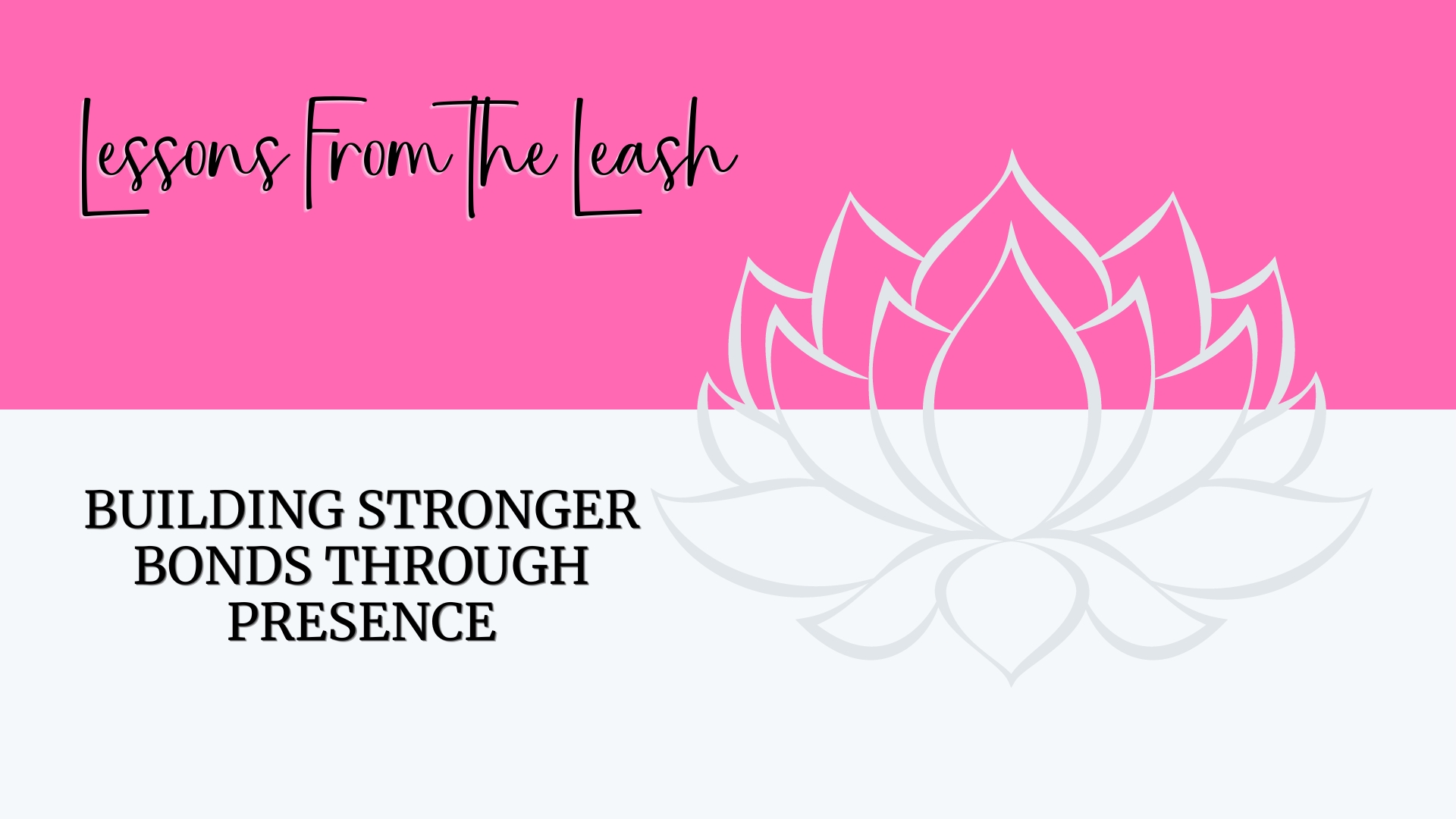 You are currently viewing Lessons From the Leash: Building Stronger Bonds Through Presence