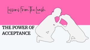 Read more about the article Lessons From the Leash: The Power of Acceptance