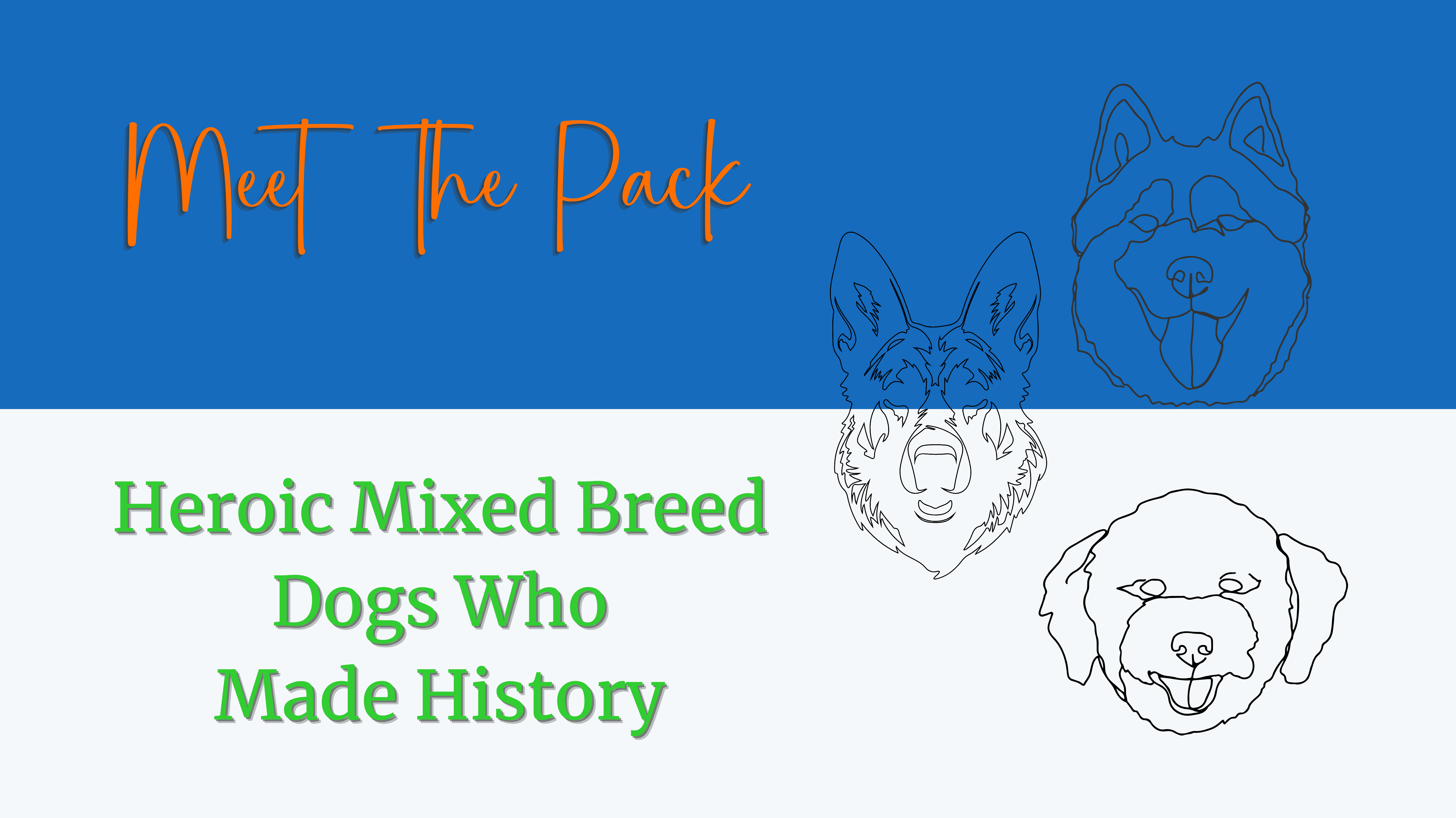 Read more about the article Meet the Pack: Heroic Mixed-Breed Dogs Who Made History