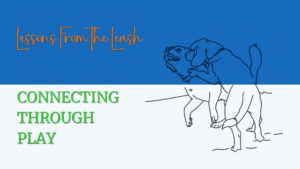 Read more about the article Lessons from the Leash: Connecting Through Play